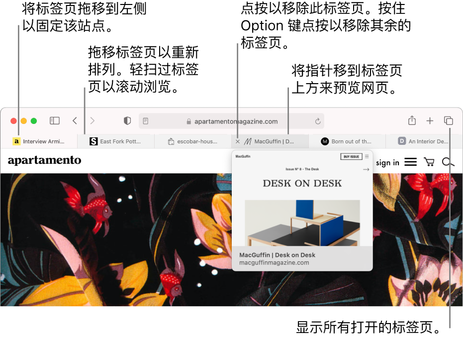 打开了几个标签页的 Safari 浏览器窗口,其中指针位于标签页上并显示网页预览。