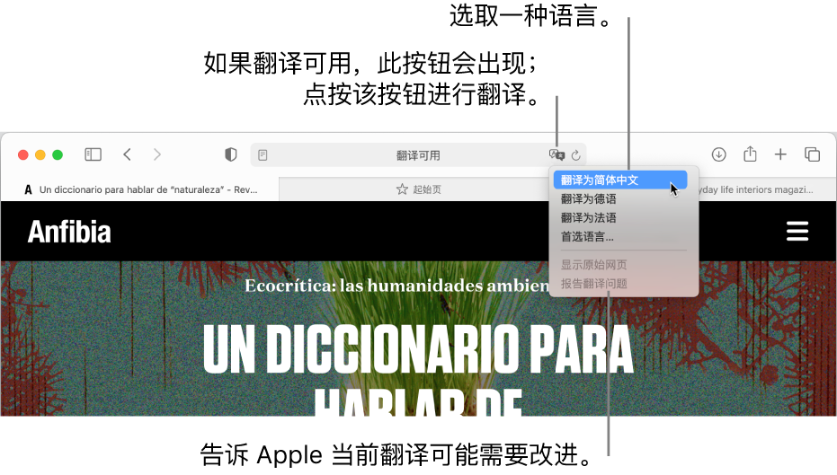 在mac 上的safari 浏览器中翻译网页 Beta 版 Apple 支持