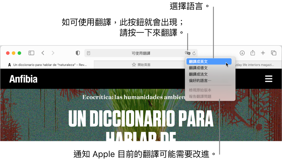 在mac 上的safari 中翻譯網頁 Beta Apple 支援