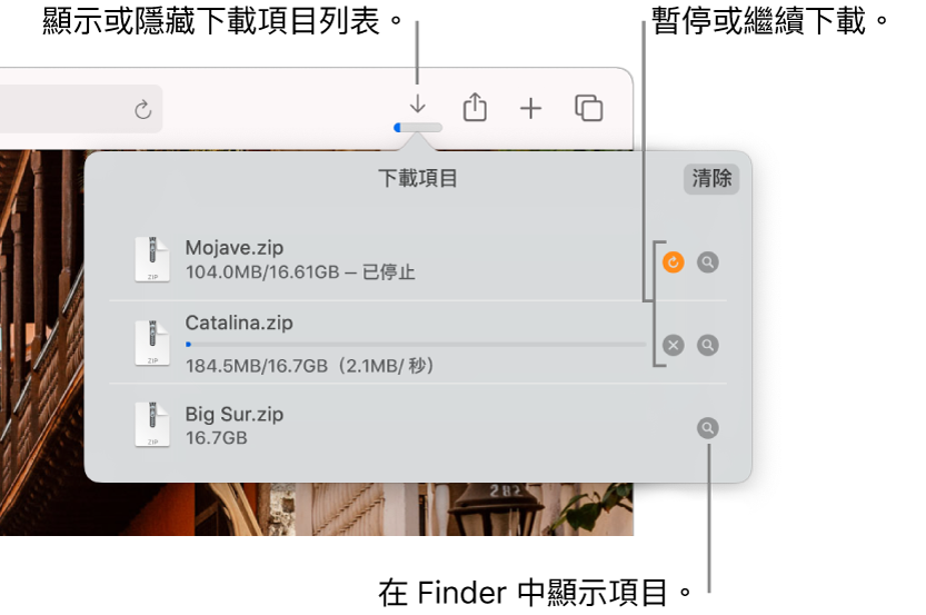 工具列中的「下載項目」按鈕,下方是下載項目列表。