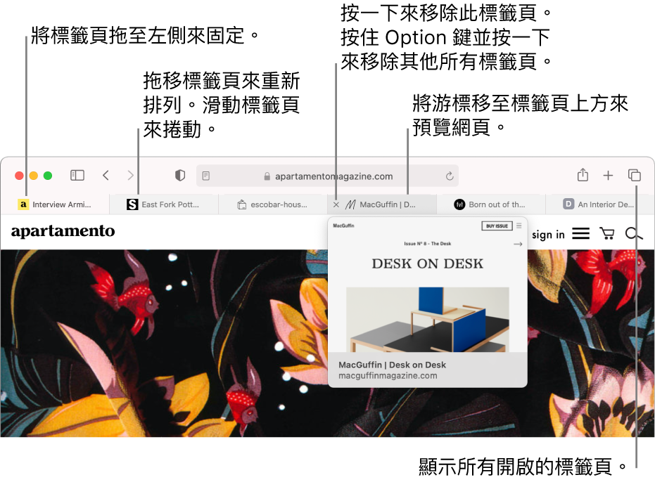 Safari 視窗包含幾個開啟的標籤頁,標籤頁上帶有指標顯示網頁的預覽。