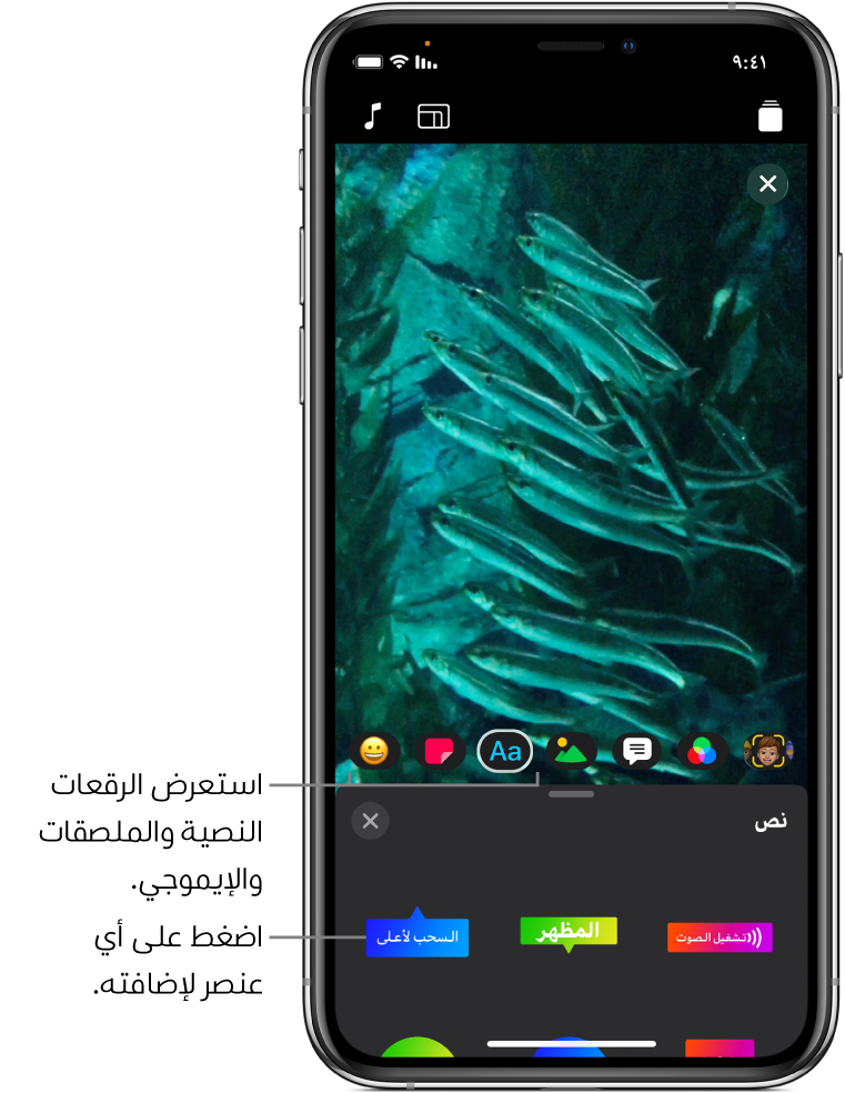 صورة فيديو في العارض، مع تحديد نص، وتظهر خيارات الرقعة النصية في الأسفل.