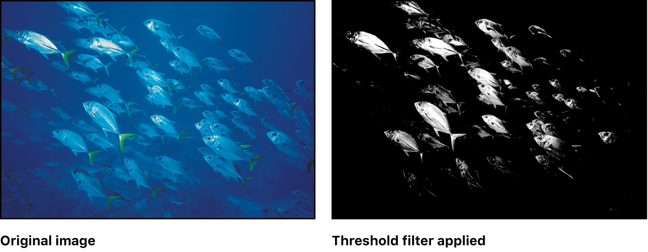 Motionの「しきい値」フィルタ - Apple サポート