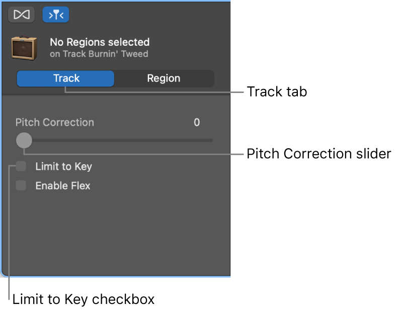 Audio Editor inspector in Track mode, showing Pitch Correction slider and Limit to Key checkbox.