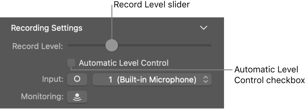 Record Level slider and Automatic Level Control checkbox in the Smart Controls inspector.