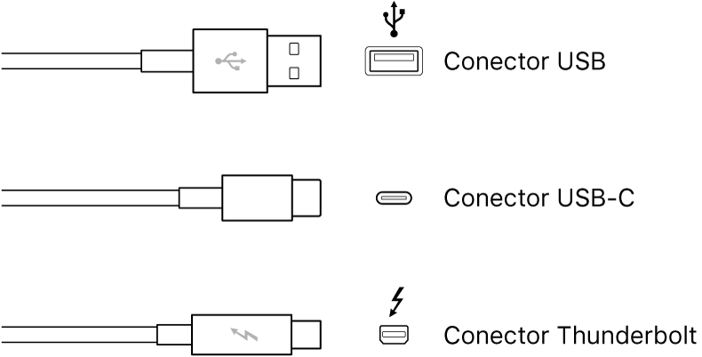 Ilustración de los tipos de conectores USB y FireWire.