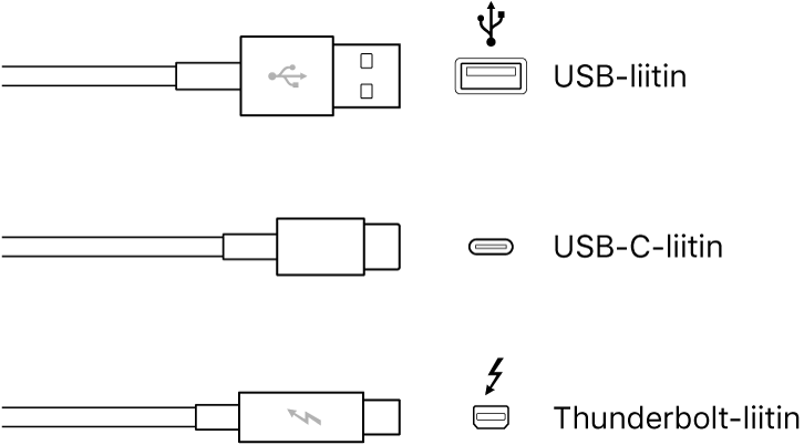 Kuva USB- ja FireWire-liitintyypeistä.