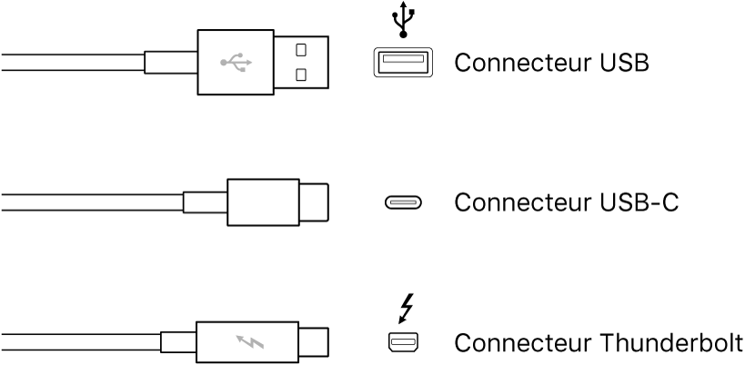 Illustration des types de connecteur USB et FireWire.