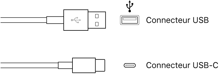 Illustration de connecteurs USB.