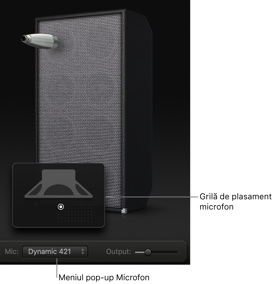 Zona cutiei Bass Amp Designer afișează meniul Microfon și grila de amplasare a microfonului.