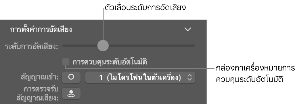 แถบเลื่อนระดับการอัดและกล่องกาเครื่องหมายควบคุมระดับอัตโนมัติในตัวตรวจสอบ Smart Control