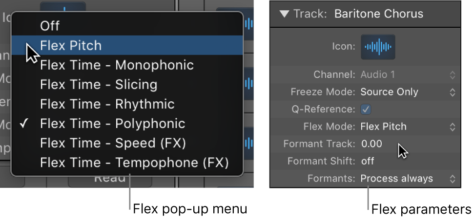 Figure. Track inspector showing Flex algorithms and parameters.