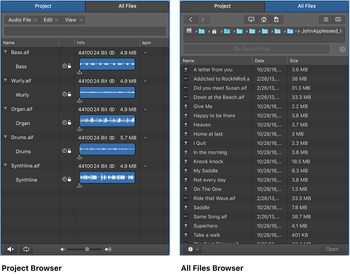 Figure. Project Audio Browser and All Files Browser.
