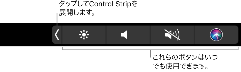 図。Touch BarのControl Strip。