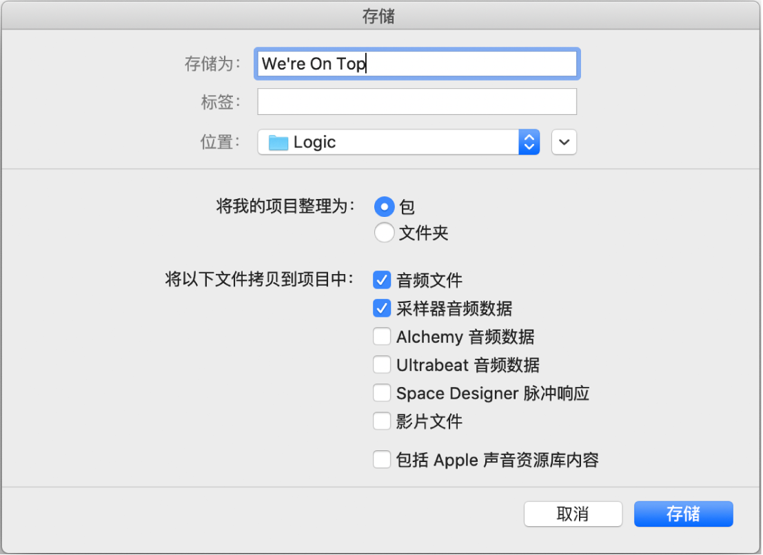 图。“存储为”对话框地步的复选框，用于选择要存储在项目中的各种资源。
