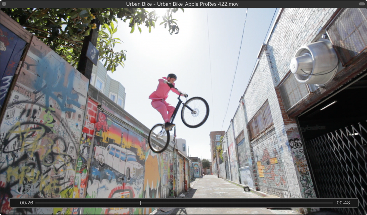 图。“影片”窗口。