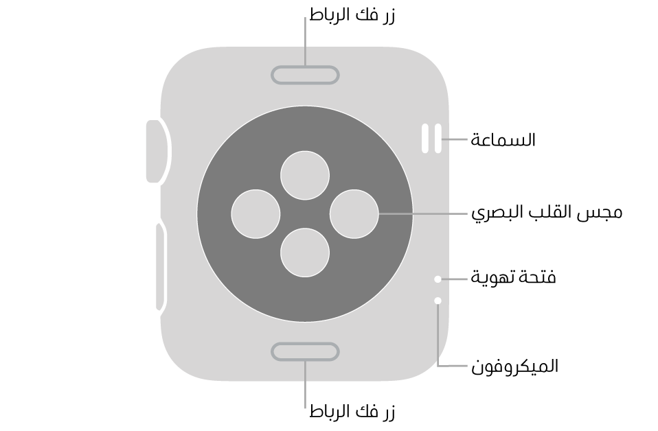 الجزء الخلفي من Apple Watch Series 3 ويظهر به زرا تحرير الرباط في الأعلى والأسفل ومجس القلب الكهربائي في المنتصف وفتحات السماعة والتهوية والمكيروفون من أعلى إلى أسفل بالقرب من الجانب.