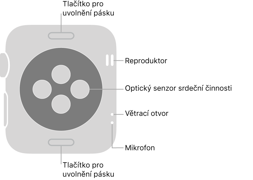 Zadní strana hodinek Apple Watch Series 3: nahoře a dole jsou tlačítka pro uvolnění řemínku, uprostřed optická čidla srdeční činnosti a na boku je (shora dolů) reproduktor, větrací otvor a mikrofon.