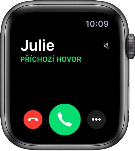 Obrazovka hodinek Apple Watch při příchozím hovoru: jméno volajícího, slova „Příchozí hovor“, červené tlačítko Odmítnout, zelené tlačítko Přijmout a tlačítko Další volby.