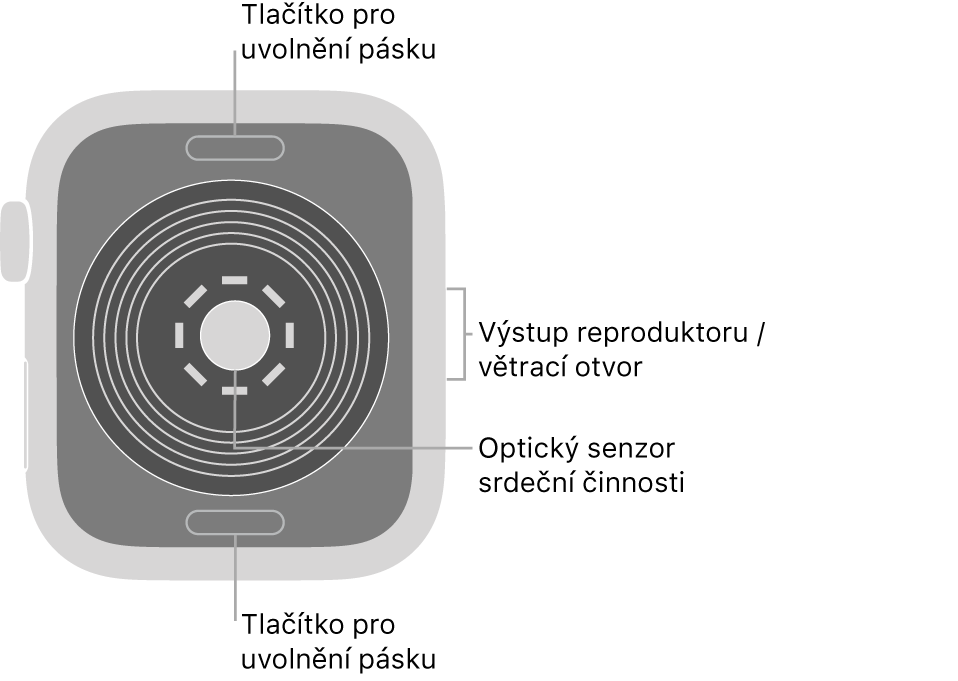 Zadní strana hodinek Apple Watch SE: nahoře a dole jsou tlačítka pro uvolnění řemínku, uprostřed optické čidlo srdeční činnosti a čidla pro měření hladiny kyslíku v krvi a na boku je reproduktor a větrací otvor.