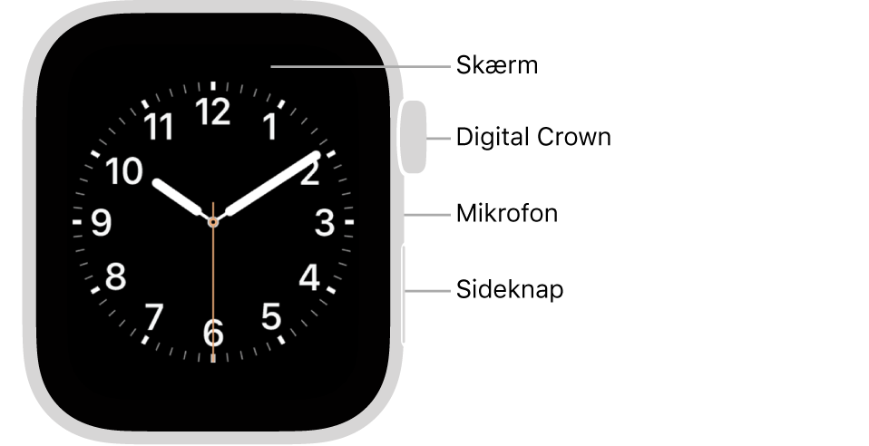 Forsiden af Apple Watch Series 6, hvor skærmen viser urskiven og Digital Crown, mikrofonen og sideknappen fra top til bund på siden af uret.
