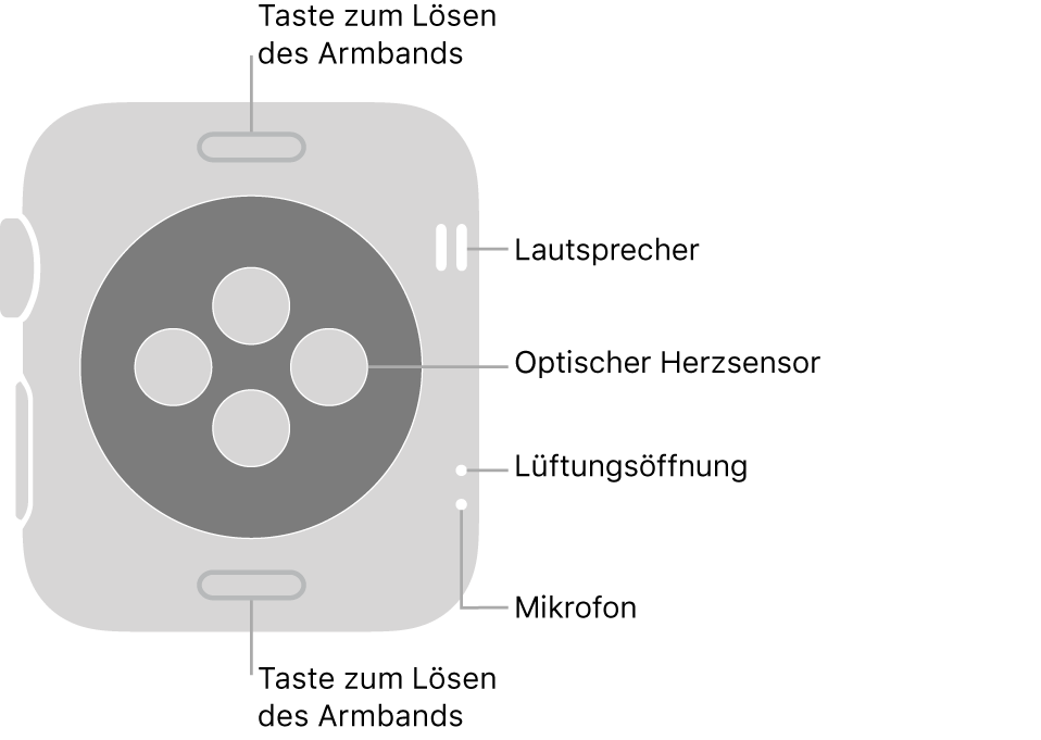 Die Rückseite der Apple Watch Series 3 mit Entriegelungstasten oben und unten, optischem Herzsensor in der Mitte sowie Lautsprecher, Lüfteröffnung und Mikrofon an der Seite.