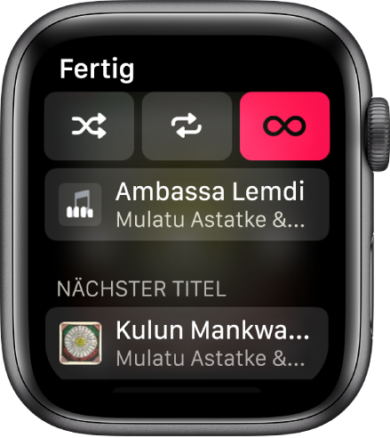 Das Fenster mit der Titelliste. Oben sind die Tasten „Zufällig“, „Wiederholen“ und „Autoplay“ zu sehen. Direkt darunter befindet sich ein Musiktitel. Unten auf dem Display ist unter „Nächster Titel“ ein weiterer Musiktitel zu sehen.