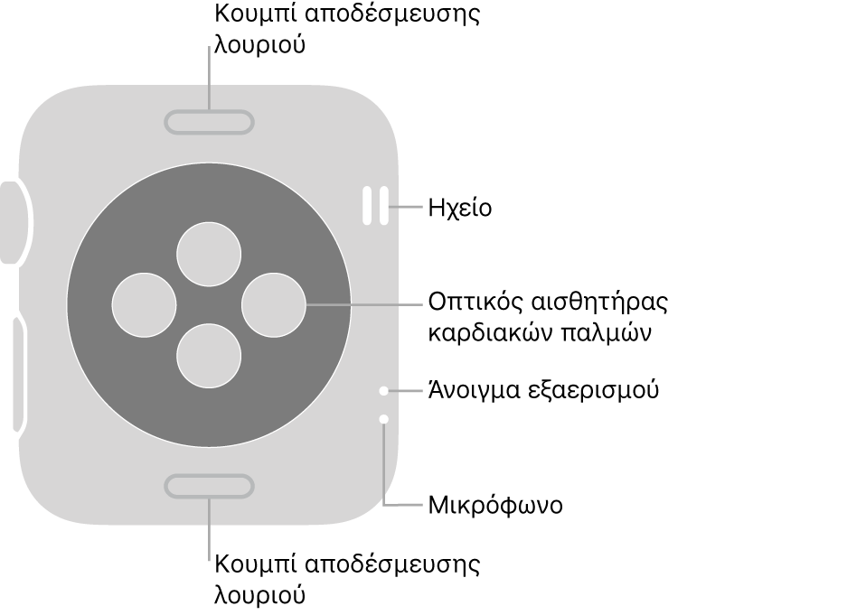 Το πίσω μέρος του Apple Watch Series 3, με τα κουμπιά αποδέσμευσης του λουριού στο πάνω και κάτω μέρος, τους οπτικούς αισθητήρες καρδιάς στο μέσο, και το ηχείο, τα ανοίγματα εξαερισμού και το μικρόφωνο από πάνω προς τα κάτω κοντά στο πλάι του ρολογιού.