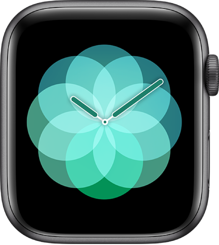 Apple watch 2025 face icons