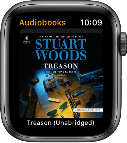 The cover art for an audiobook.
