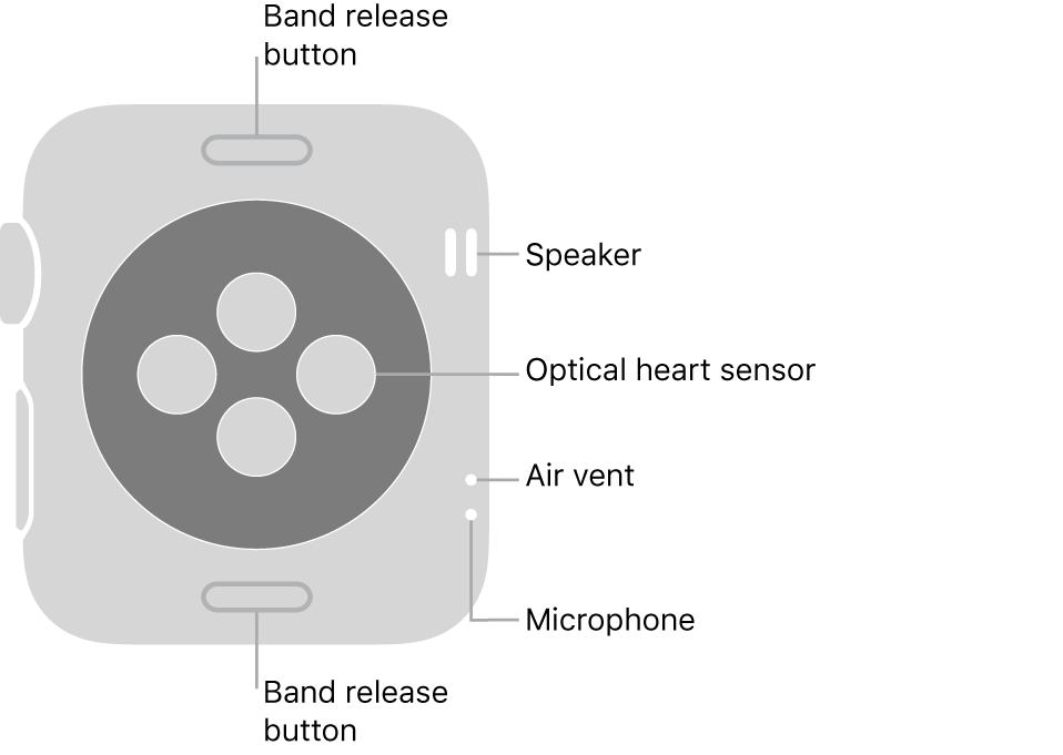 The back of Apple Watch Series 3, with the band release buttons at top and bottom, the optical heart sensors in the middle, and the speaker, air vent, and microphone from top to bottom near the side.