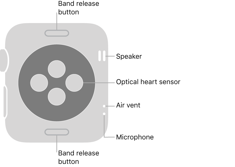 Your Apple Watch - Apple Support