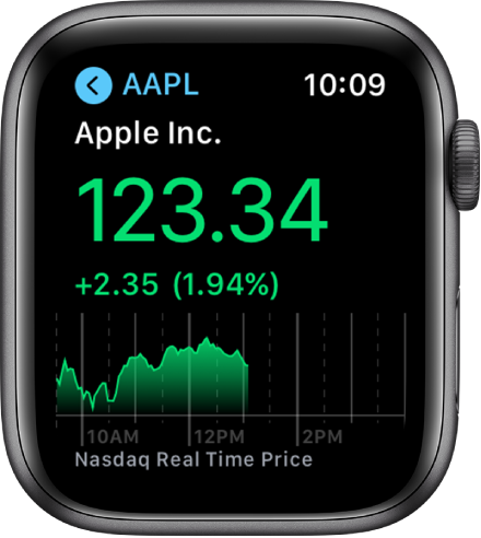 Information about a stock in the Stocks app.