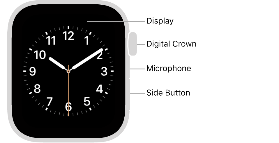 The front of Apple Watch Series 6, with the display showing the watch face, and the Digital Crown, microphone, and side button from top to bottom on the side of the watch.
