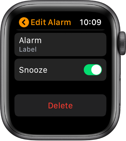 Add an alarm on Apple Watch - Apple Support