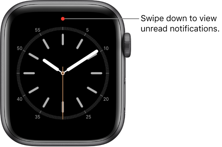 What's the red online dot on my iwatch