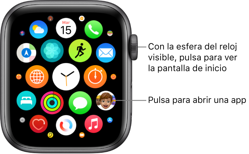 Pantalla de inicio en visualización de mosaico en el Apple Watch, con una agrupación de apps. Pulsa una app para abrirla. Arrastra para ver más apps.