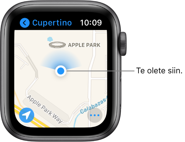 Rakendus Maps kuvab kaarti. Teie asukohta kuvatakse kaardil sinise punktina. Asukohapunkti kohal on sinine koonus, mis tähistab, et kell on suunatud põhja poole.