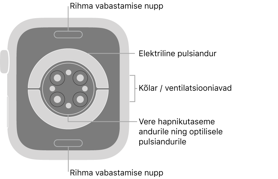 Apple Watch Series 6 tagakülg, kus üleval ja all on rihma vabastusnupud, elektrilised südamepulsiandurid, optilised südamepulsiandurid ja keskel vere hapnikusisalduse andur ning kõlar/ventilatsiooniavad küljel.