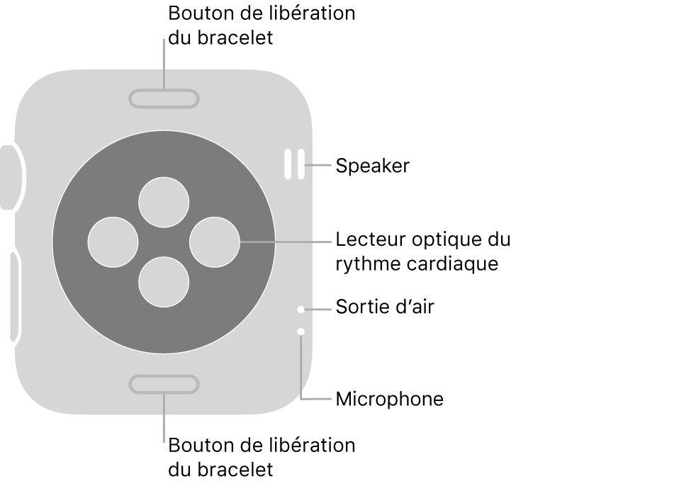 Le dos de l’Apple Watch Series 3, avec les boutons de retrait du bracelet en haut et en bas, les capteurs de rythme cardiaque optiques au centre, puis le haut-parleur, l’évent et le micro de haut en bas sur le côté.