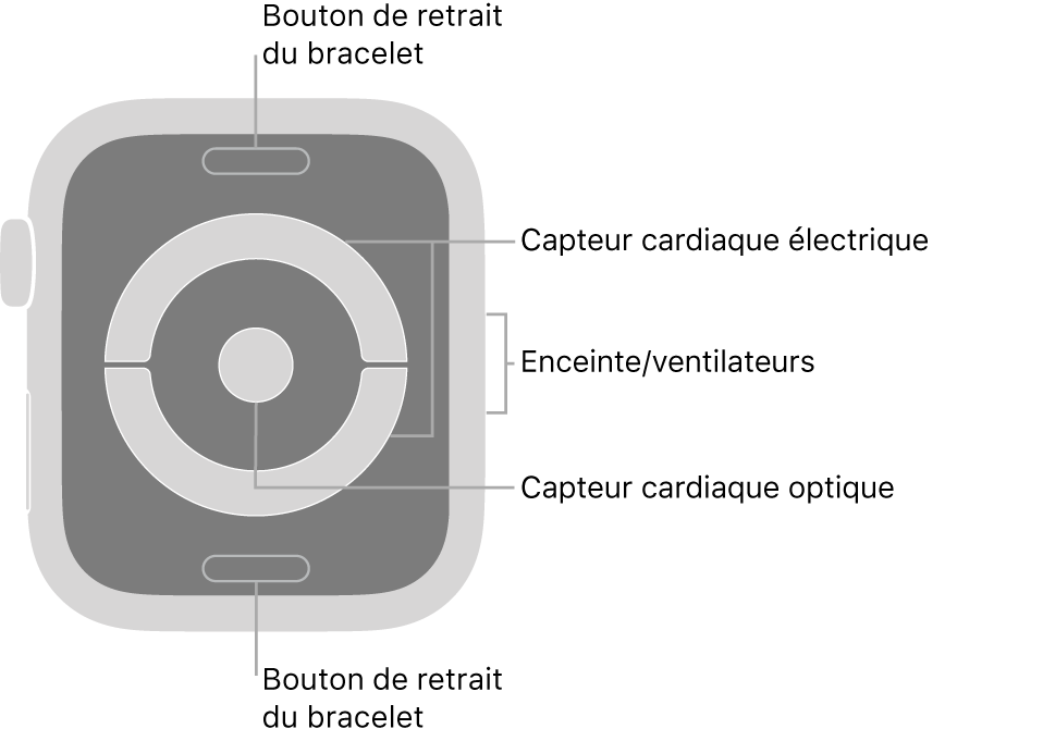L’arrière de l’Apple Watch Series 4 et de l’Apple Watch Series 5, avec les boutons de retrait du bracelet en haut et en bas, les capteurs électriques de fréquence cardiaque et le capteur optique de fréquence cardiaque au milieu ainsi que le haut-parleur et les aérations sur le côté des montres.