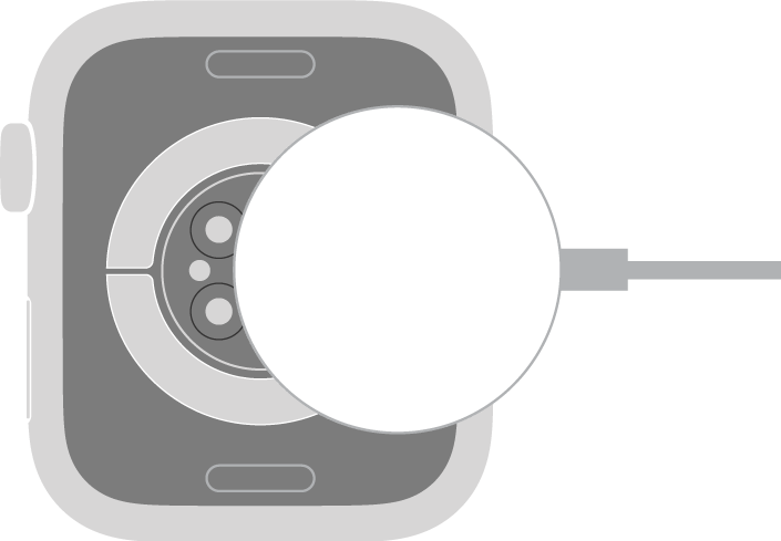 הצד הקעור של כבל הטעינה המגנטית של ה‑Apple Watch נצמד אל גב ה‑Apple Watch באופן מגנטי.