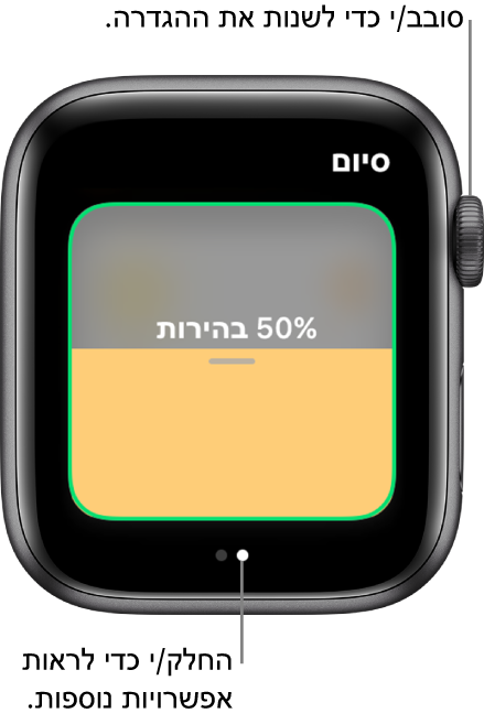 היישום ״הבית שלי״ עם הגדרה לשינוי הבהירות של נורה.