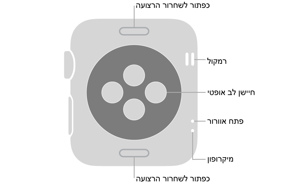 החלק האחורי של דגם Apple Watch Series 3 עם כפתורי שחרור הרצועה למעלה ולמטה, חיישני הדופק האופטיים בחלק המרכזי והרמקול, פתח האוורור והמיקרופון מלמעלה כלפי מטה בסמוך לצד.