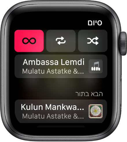 חלון עם אפשרויות ההשמעה ״סדר אקראי״, ״חזרה״ ו״השמעה אוטומטית״ בחלק העליון, ורצועת השמעה מתחת. בתחתית החלון, רצועה נוספת תחת ״הבא בתור״.