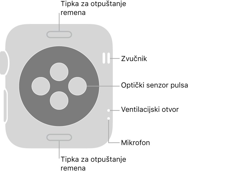Stražnja strana modela Apple Watch Series 3 s tipkama za otpuštanje remena pri vrhu i dnu, optičkim senzorima srca po sredini te zvučnik, zračni ventili i mikrofon pokraj strane.