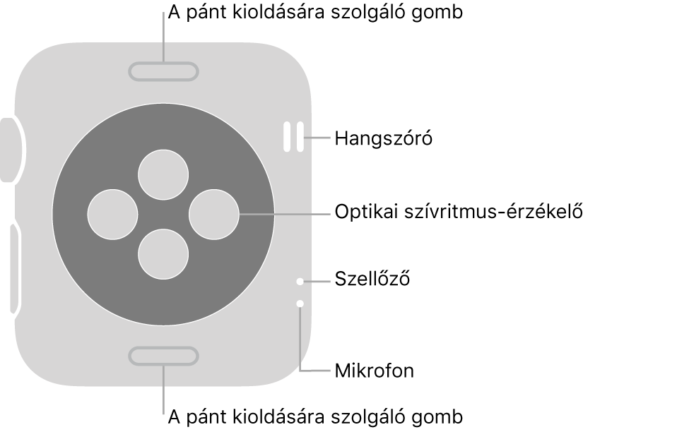 Az Apple Watch Series 3 hátlapja a szíjkioldó gombokkal felül és alul, az optikai szívérzékelőkkel középen, valamint felülről lefelé a hangszóróval, szellőzőnyílással és mikrofonnal oldalt.