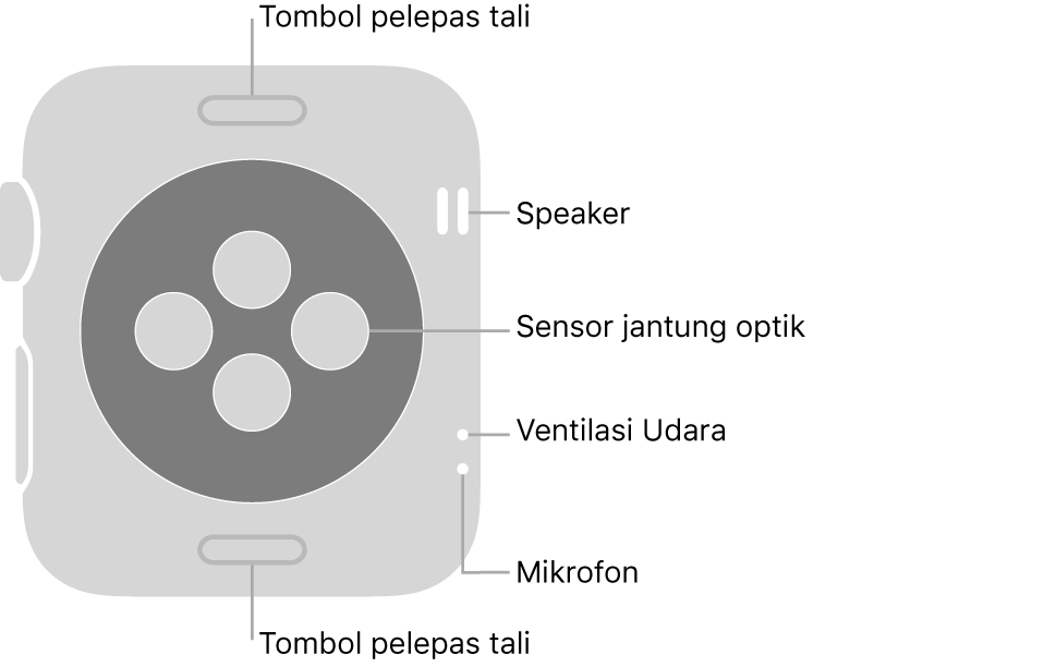 Bagian belakang Apple Watch Series 3, dengan tombol pelepas tali di bagian atas dan bawah, sensor jantung optik di bagian tengah, dan speaker, ventilasi udara, dan mikrofon dari bagian atas ke bawah dekat bagian samping.