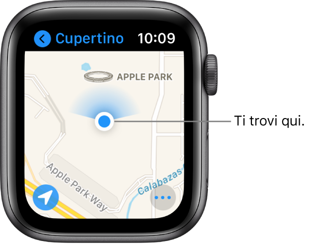 L'app Mappe che mostra una mappa. La tua posizione viene mostrata come un punto blu sulla mappa. Sopra al punto della posizione c'è un'icona blu, a indicare che l'orologio è rivolto verso nord.