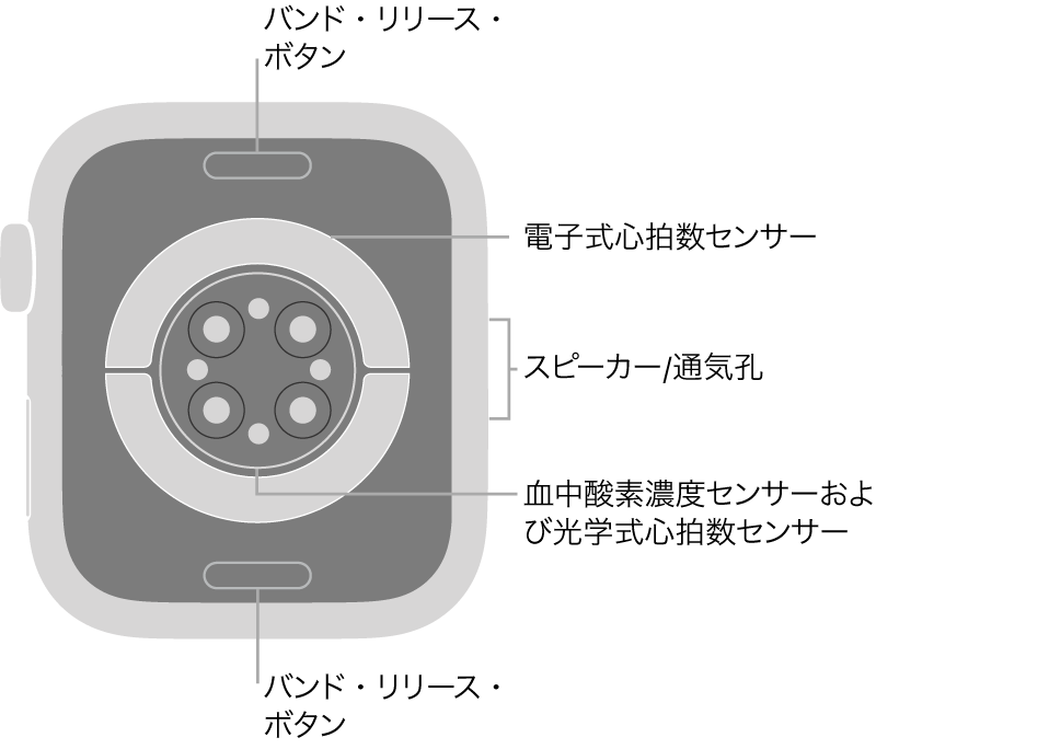 Apple Watch Series 6の背面で、上下にバンド・リリース・ボタン、中央に電気式心拍数センサー、光学式心拍数センサー、血液酸素ウェルネスセンサー、側面にはスピーカー/通気孔があります。